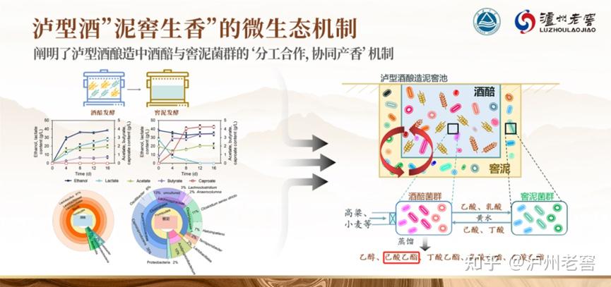 泸州市老酒协会