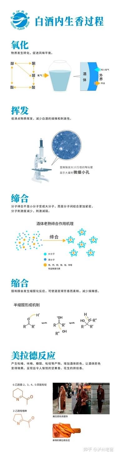 泸州市老酒协会