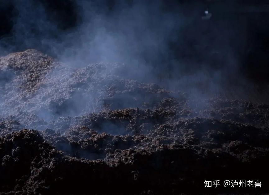 泸州市老酒协会