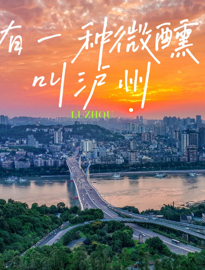 泸州市老酒协会